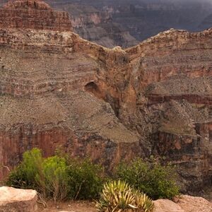 Meet your Posher, Tamara